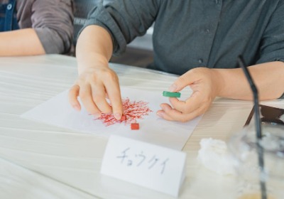 2026手提袋材质新规深度解读：商家必知的环保趋势与应对策略