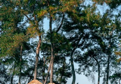 一物一码成品牌新标配：2026年包装行业深度洞察与商业启示