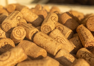 FSC认证成出口必备资质：2026年外贸包装的绿色通行证