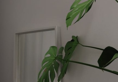 深圳龙岗包装厂深度复盘：淘宝店主如何用吸塑内托实现销量逆袭（2026版）