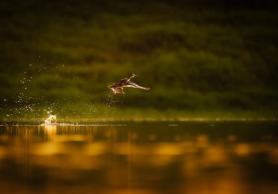 佛山南海包装厂：淘宝店主用飞机盒定制价格逆袭指南（2026版）