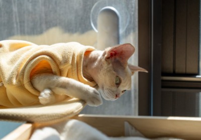 案例复盘：Eco包装销量翻倍，B2B企业如何借力可持续包装实现增长