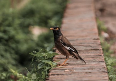 2026年环保包装供应链新趋势：从成本中心到价值引擎